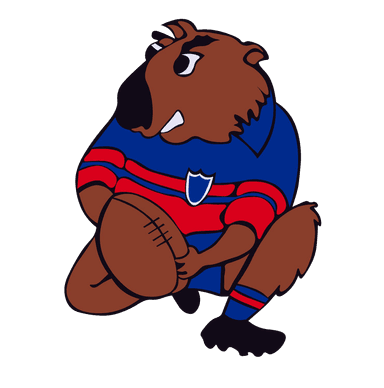 Mudgee Wombats Logo